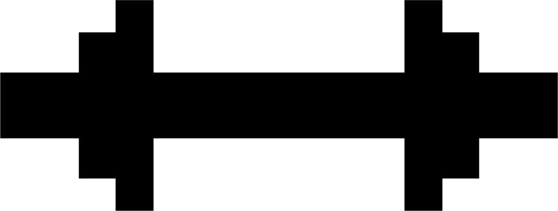 Barbell Insert