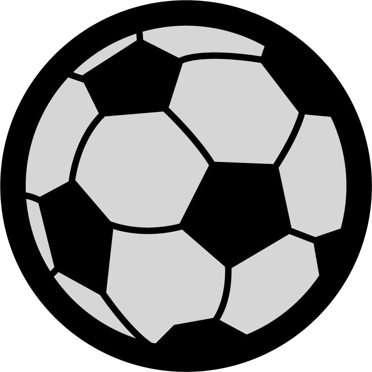 Soccer Ball Insert
