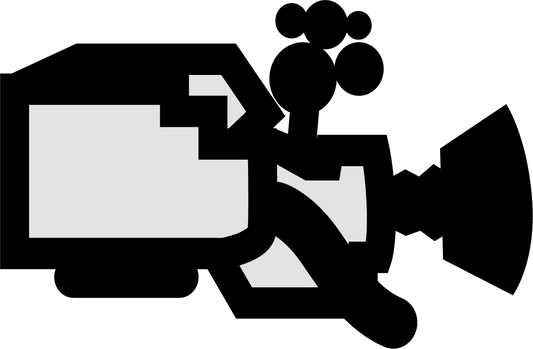 Camera Insert