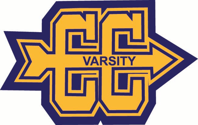 Cross Country Sleeve Patch