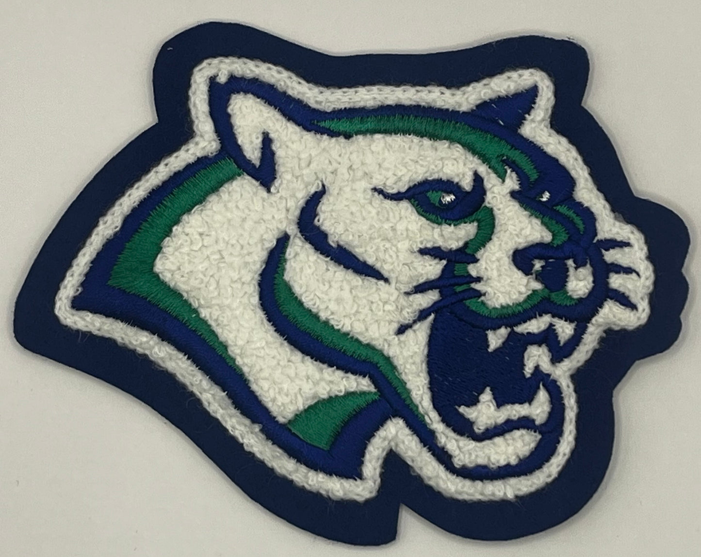 Compass Academy Charter School Cougar Mascot