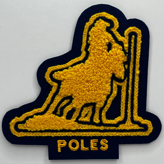 Poles Sleeve Patch