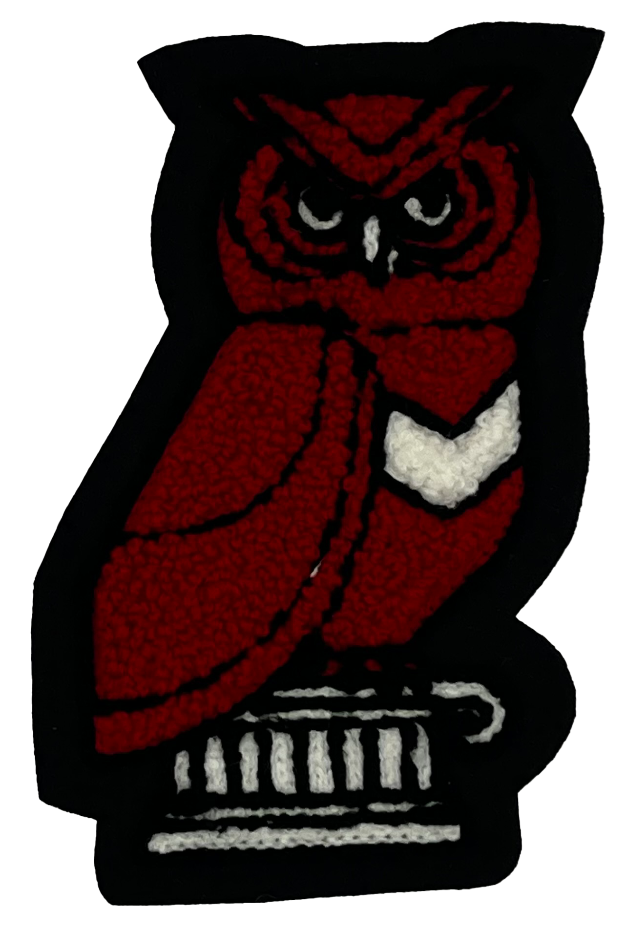 Round Rock ECHS Owl Sleeve Mascot