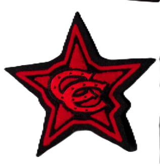 Coppell HS Star w/ Horseshoes Sleeve Mascot