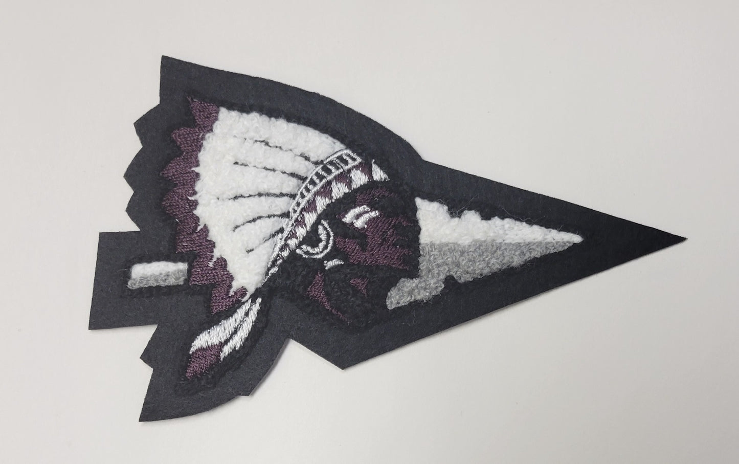 Donna North HS Sleeve Mascot