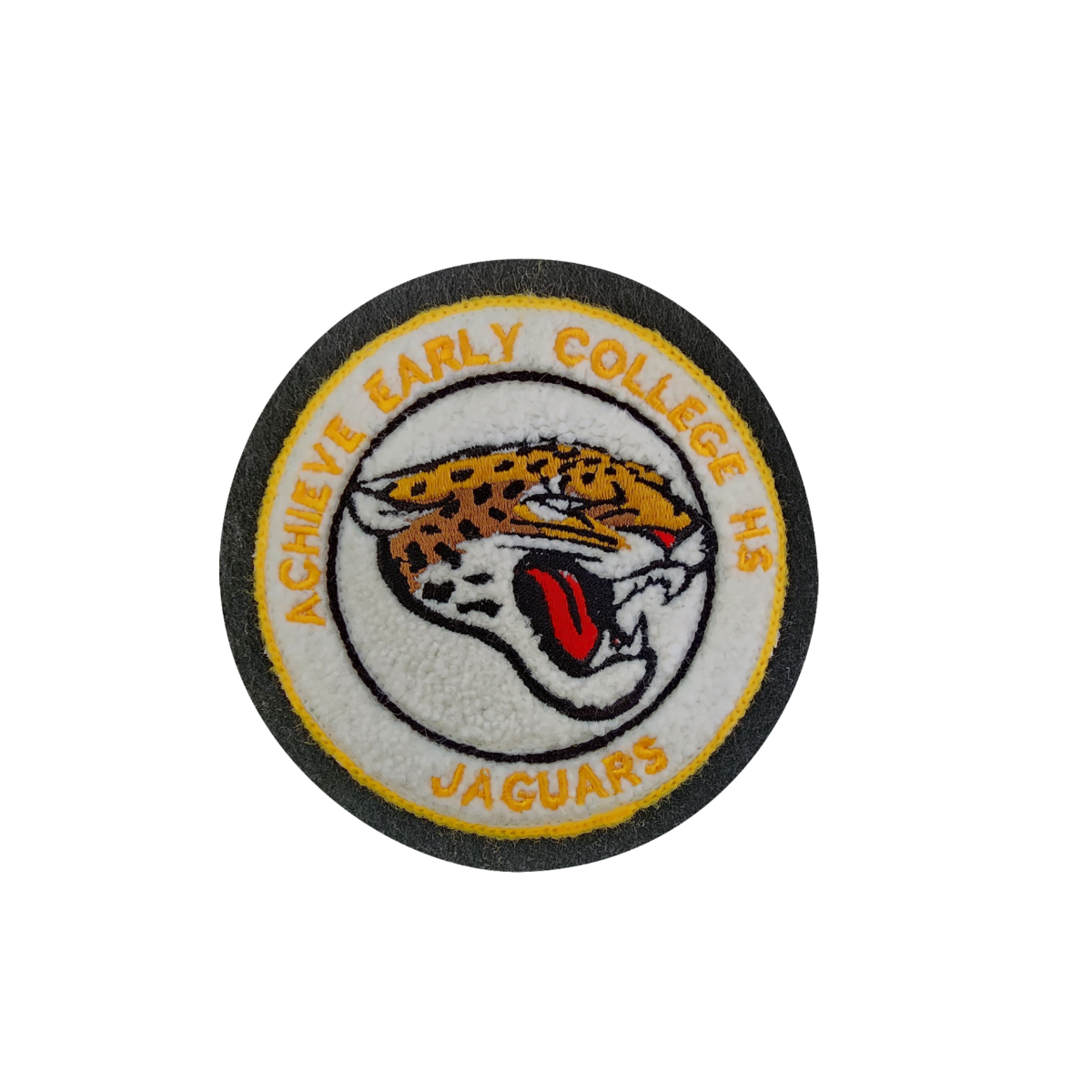 Achieve Early College High School Jaguar Mascot