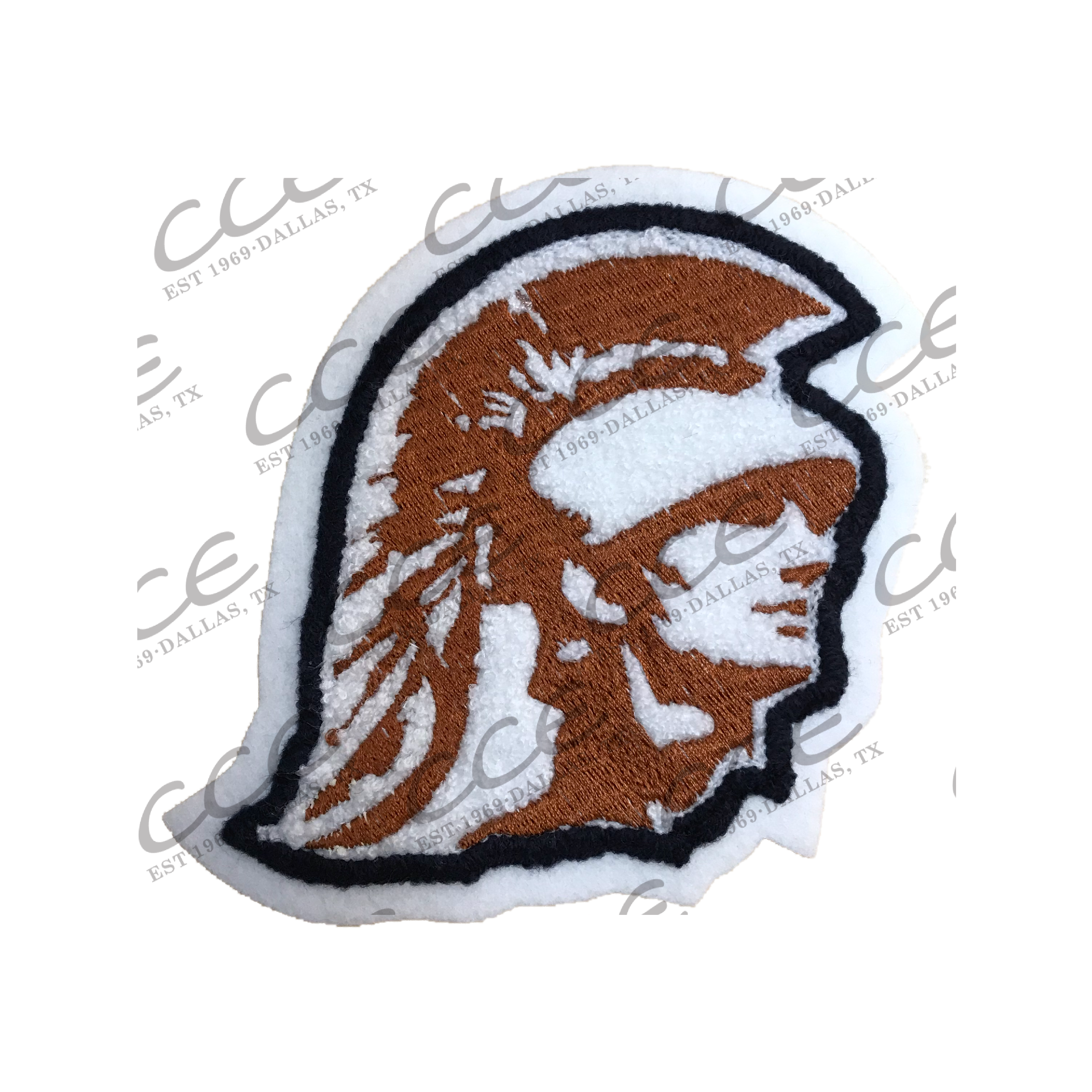 SSR Jackets Lakeview Centennial HS Patriots Sleeve Mascot