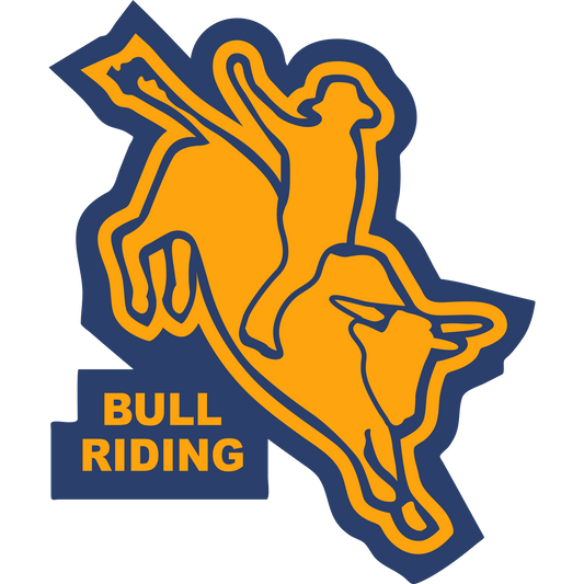 Bull Rider Sleeve Patch