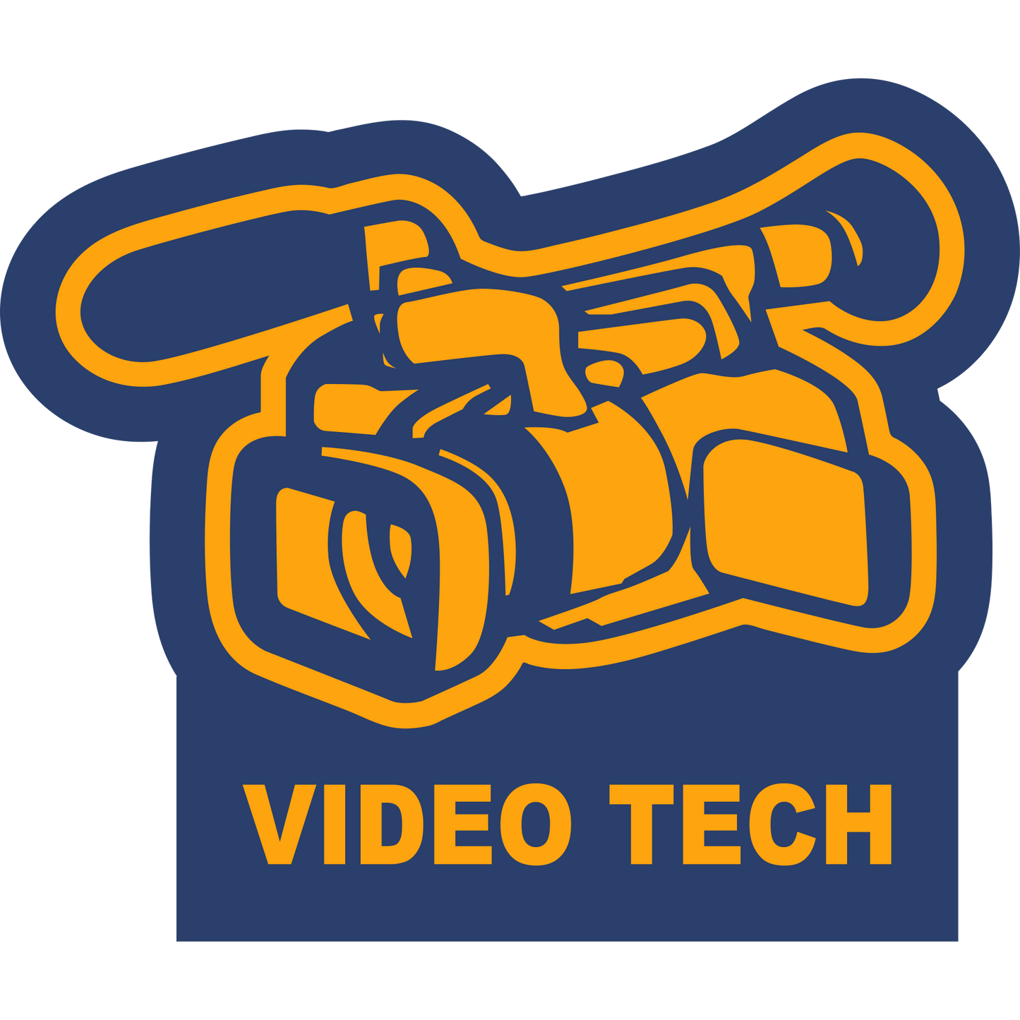 VideoTech Sleeve Patch