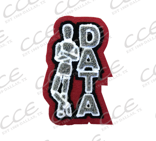 Roosevelt HS DATA  Patch