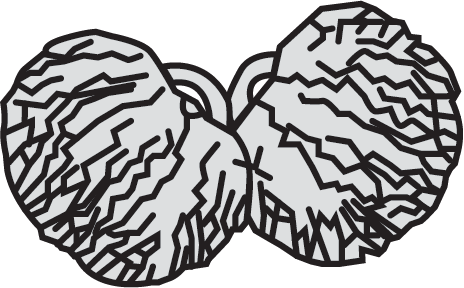 Pom Pom Insert – SSR Jackets Patch Store