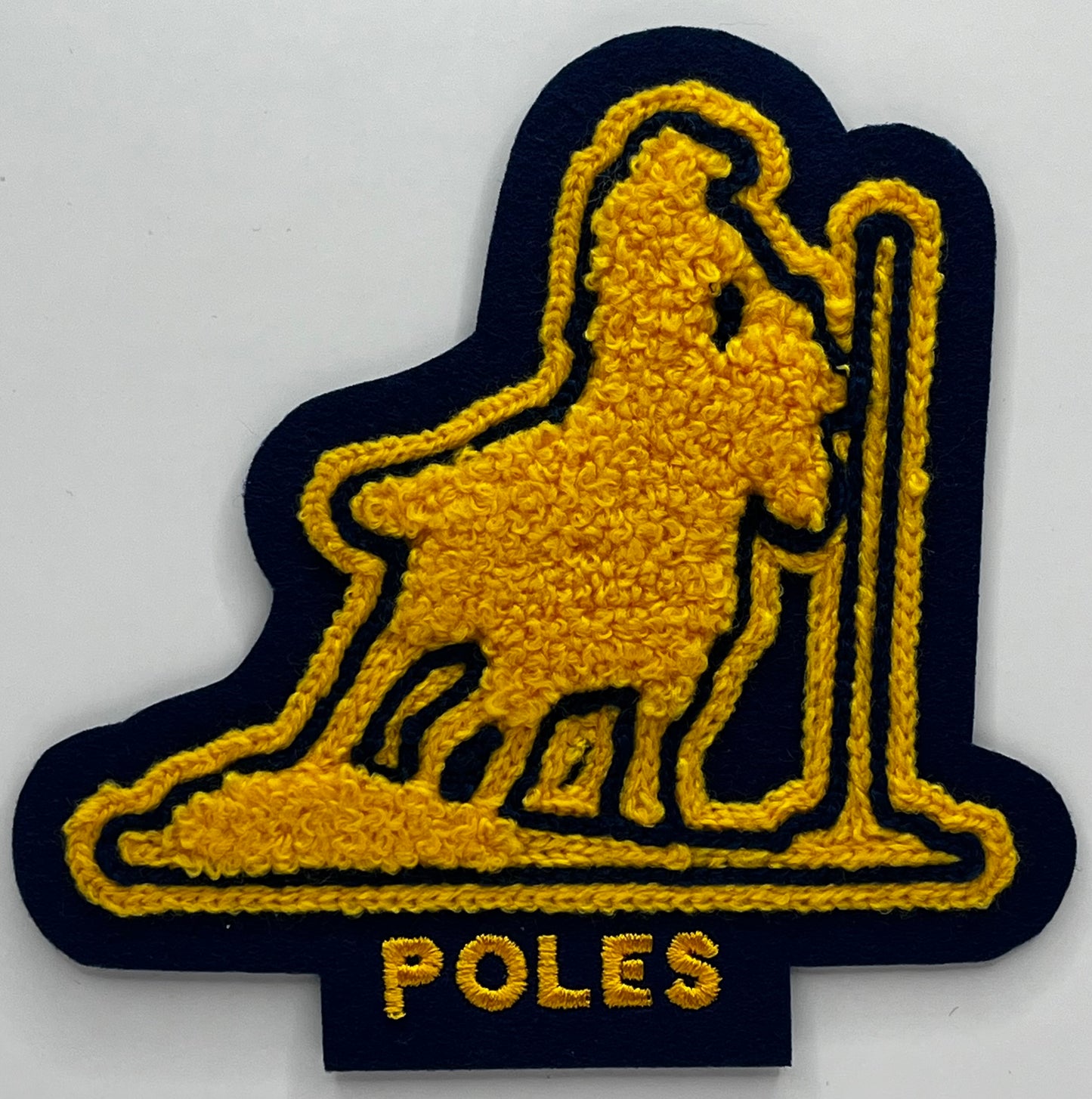 Poles Sleeve Patch