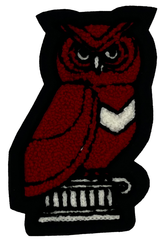Round Rock ECHS Owl Sleeve Mascot