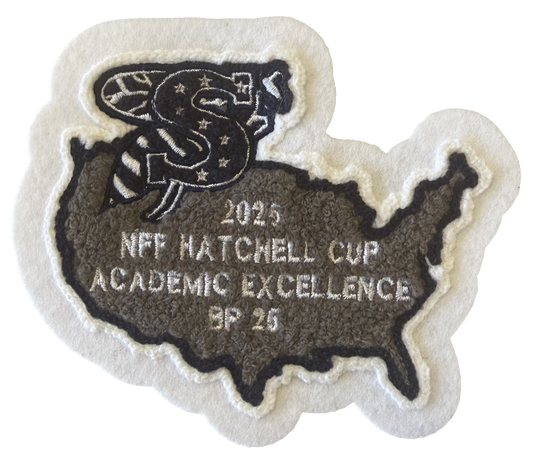 Stephenville HS Academic Excellence USA Sleeve Patch