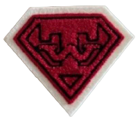 West HS Superman TW Mascot