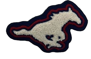 Grapevine HS Mustang Sleeve Mascot