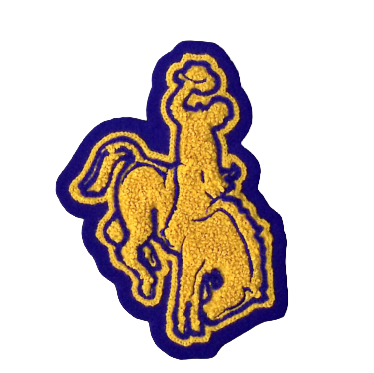San Diego HS (TX) Vaquero Sleeve Mascot