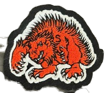 Springtown HS Porcupine Sleeve Mascot