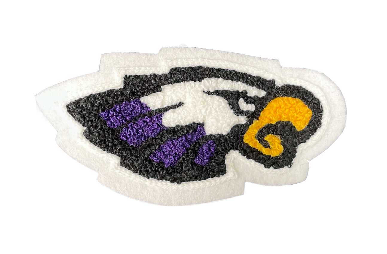 Canyon HS Eagle Sleeve Mascot