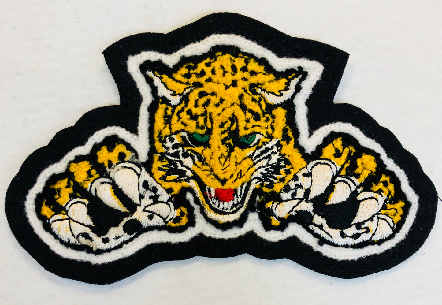 Gainesville HS Leopard Mascot