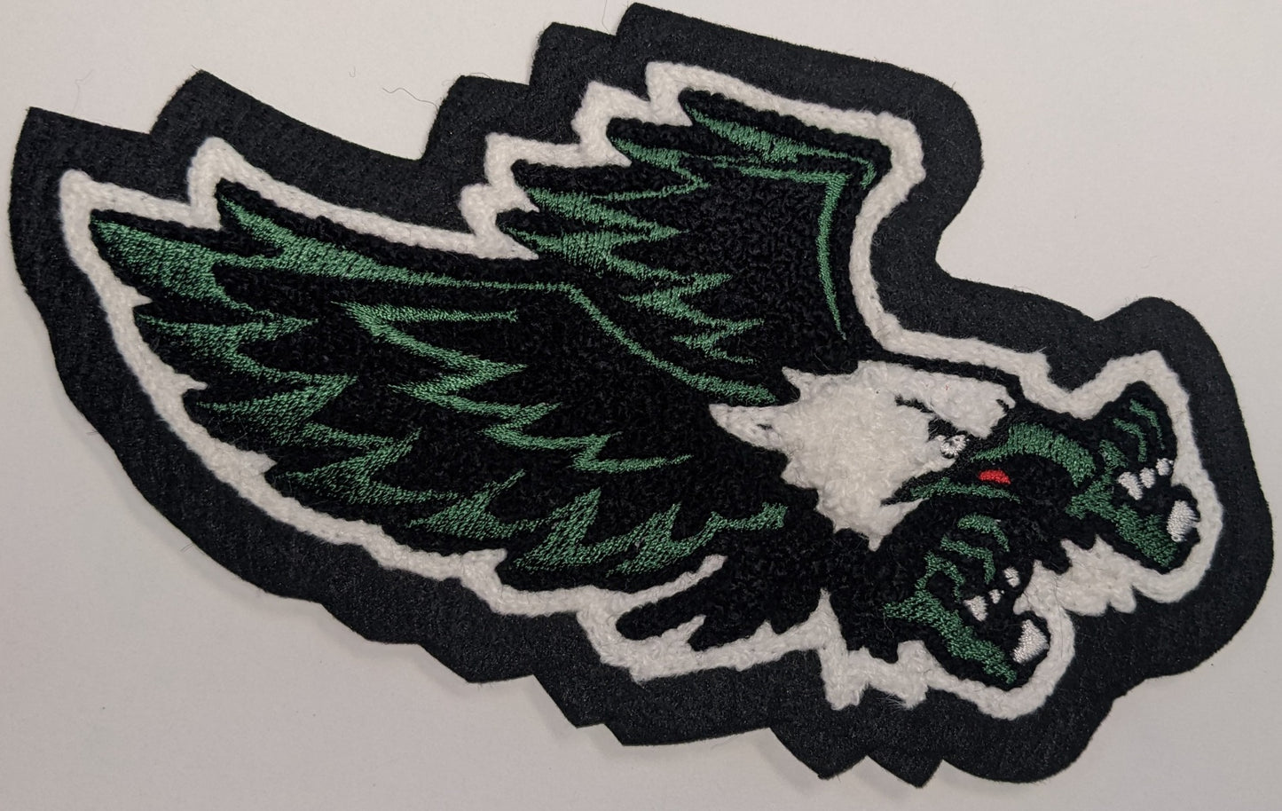 Mansfield Lake Ridge Eagle Sleeve Mascot
