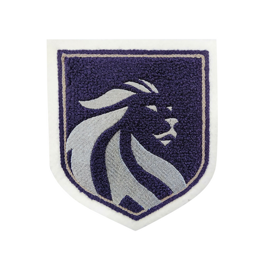 South TX ISO World Scholars High School Lion Shield Mascot